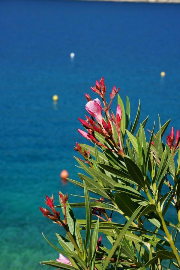 Apartment Suzie Q - Intermezzo With Sea View Rabac Exterior photo